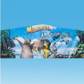 Madagascar Module Art Banner in San Diego