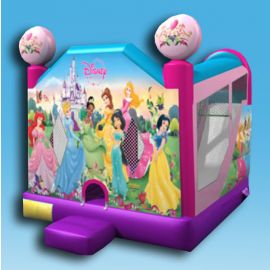 Princess Combo Jumper 4 in 1 at San Diego