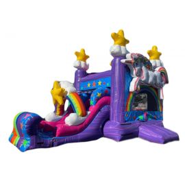 3 in 1 Dual Lane Unicorn Dry Combo (sku C315)