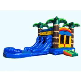 Dual Lane Tropical Fun Water Slide Combo Jumper at San Diego