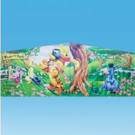Winnie the Pooh Module Art Banner in San Diego